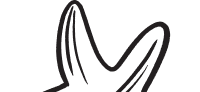 Starfish Icon