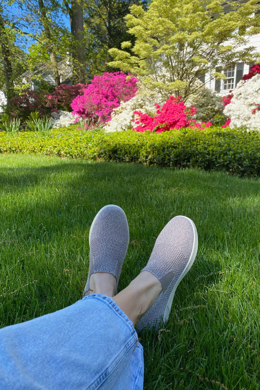 Australian Merino Wool Sneakers Woolloomooloo Shoe