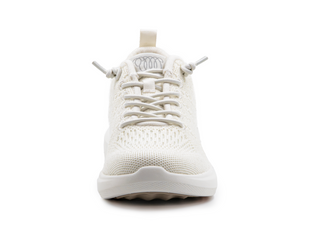 Coogee Merino Wool Sneaker