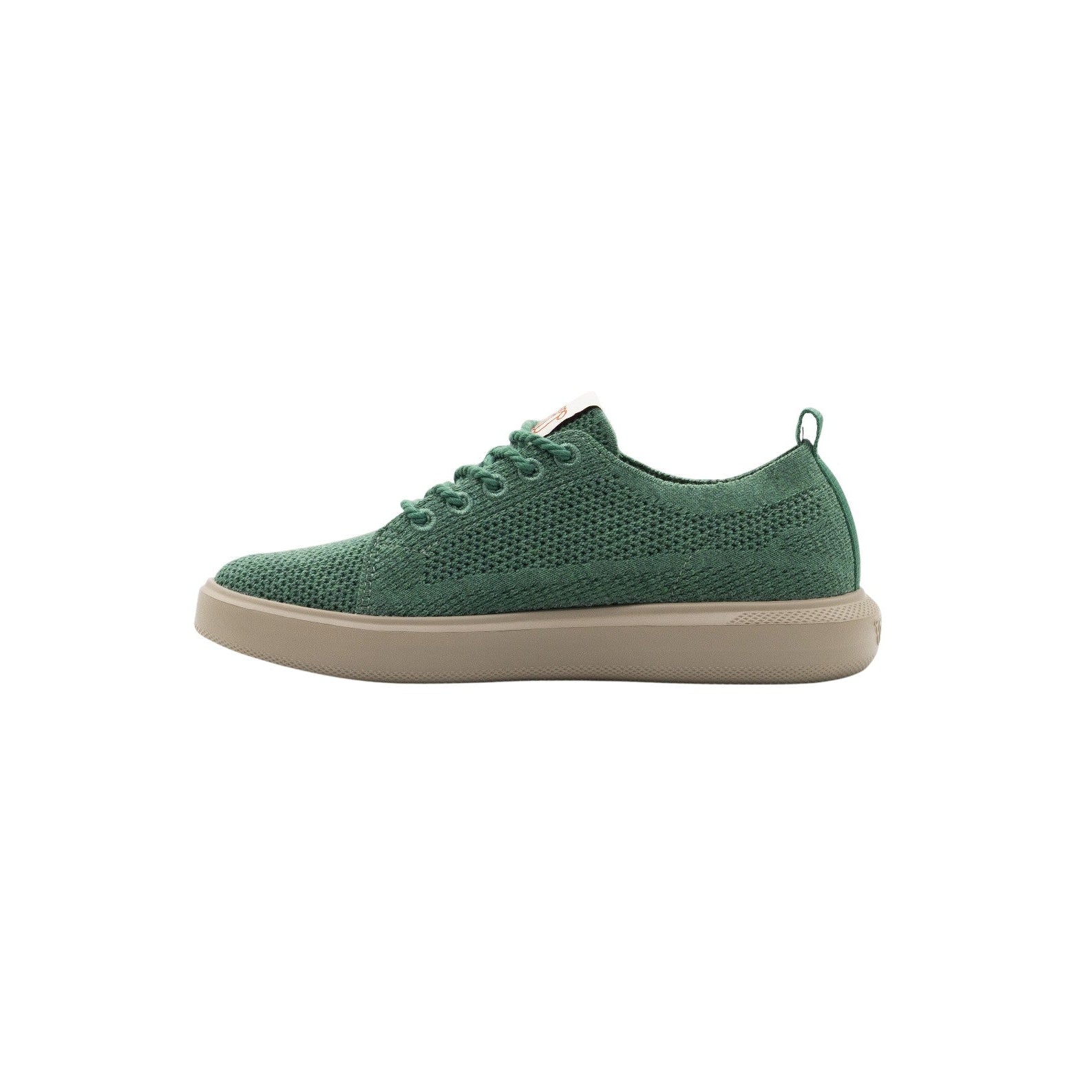 Paddo Lace Merino Wool Sneaker