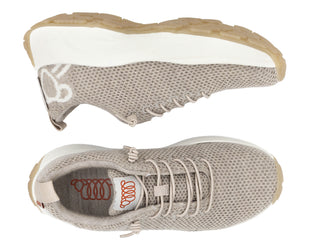 Coogee Gt Face Merino Wool Sneaker