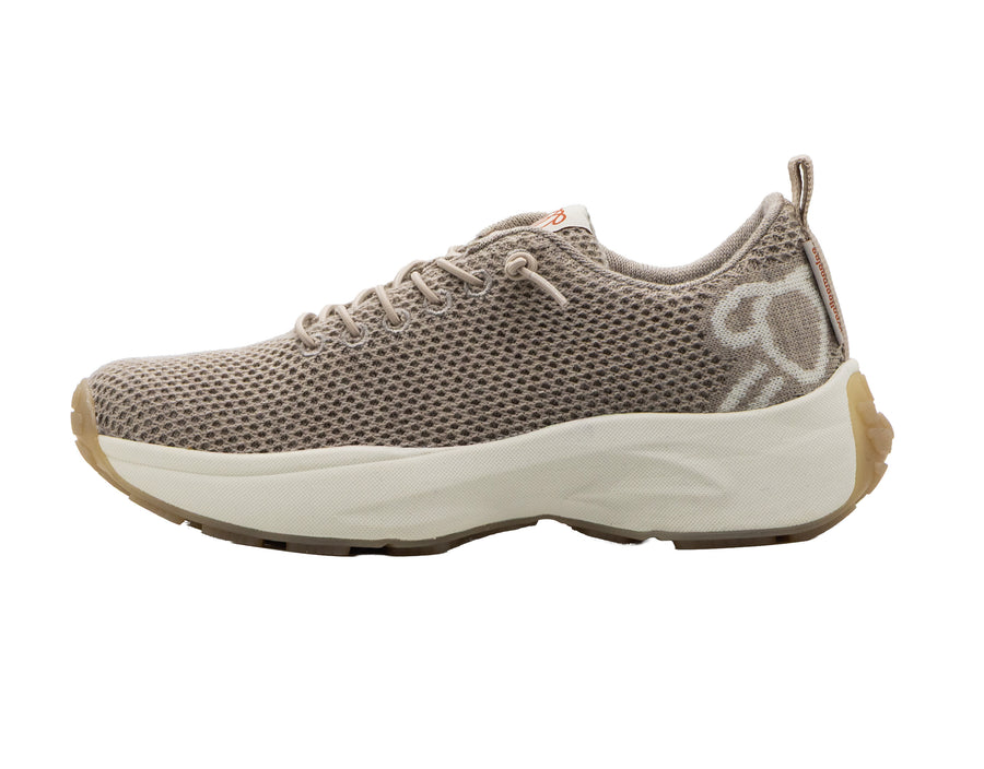 Coogee Gt Face Merino Wool Sneaker